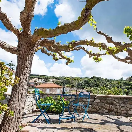 Splendid Stone House With Vineyard Close To Pylos