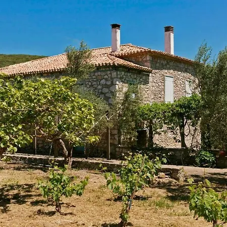 Villa Splendid Stone House With Vineyard Close To *