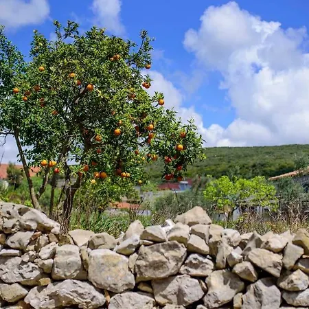 Splendid Stone House With Vineyard Close To