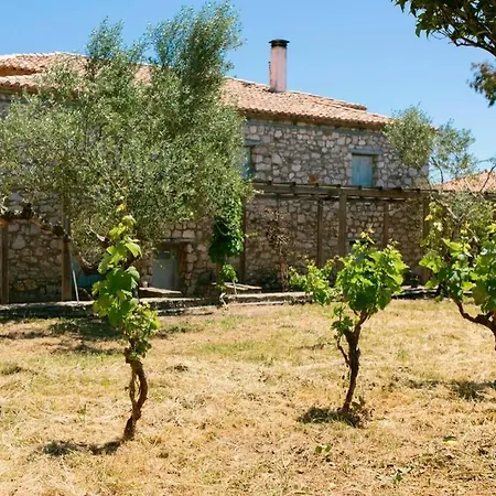 Splendid Stone House With Vineyard Close To Villa