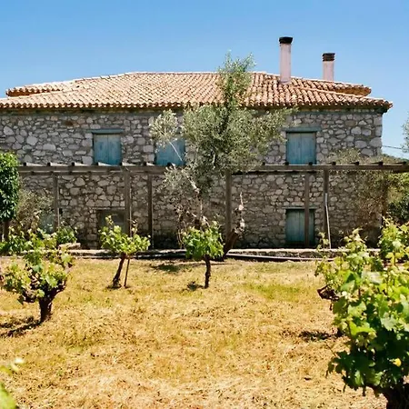 Villa Splendid Stone House With Vineyard Close To Pylos