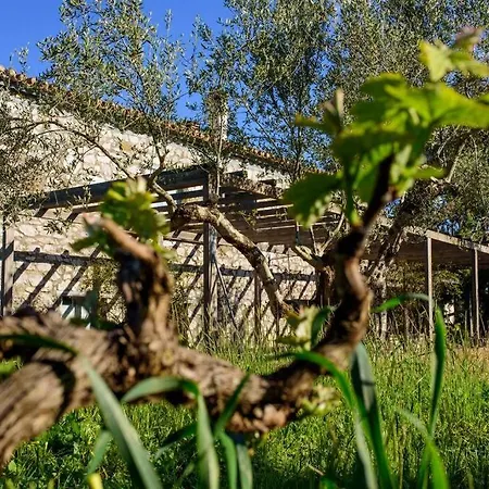 Splendid Stone House With Vineyard Close To Villa