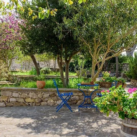Splendid Stone House With Vineyard Close To
