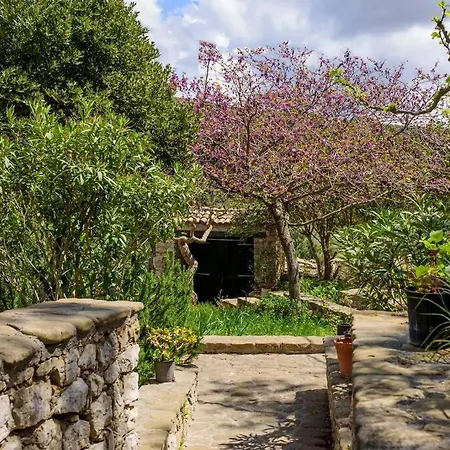 Splendid Stone House With Vineyard Close To *